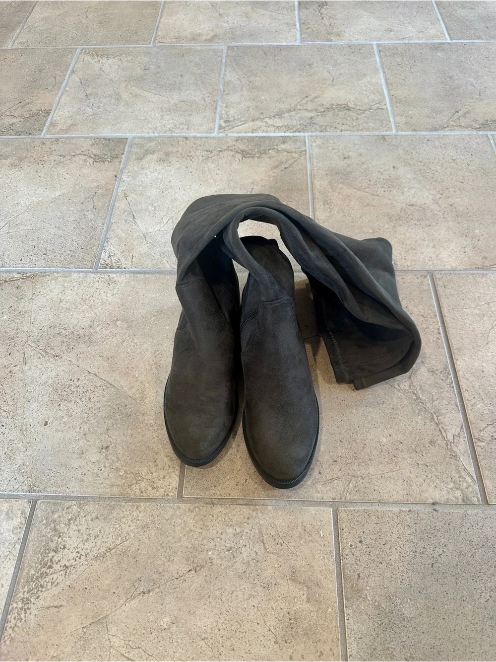 ALDO “Araecia” Thigh High Suede Boots